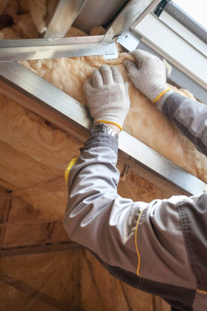 Best Insulation Maintenance and Repair in Lincoln Rk, PA